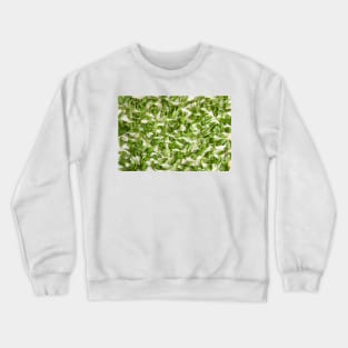 Fresh baby spinach Crewneck Sweatshirt